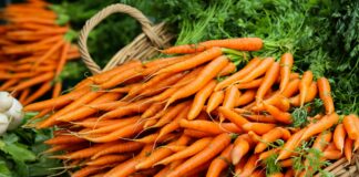Підживлення моркви для гарного врожаю: як приготувати натуральне добриво вдома - today.ua