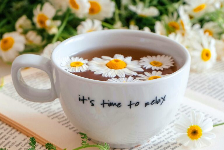 Названы причины пить ромашковый чай ежедневно: улучшает сон и защищает от рака - today.ua