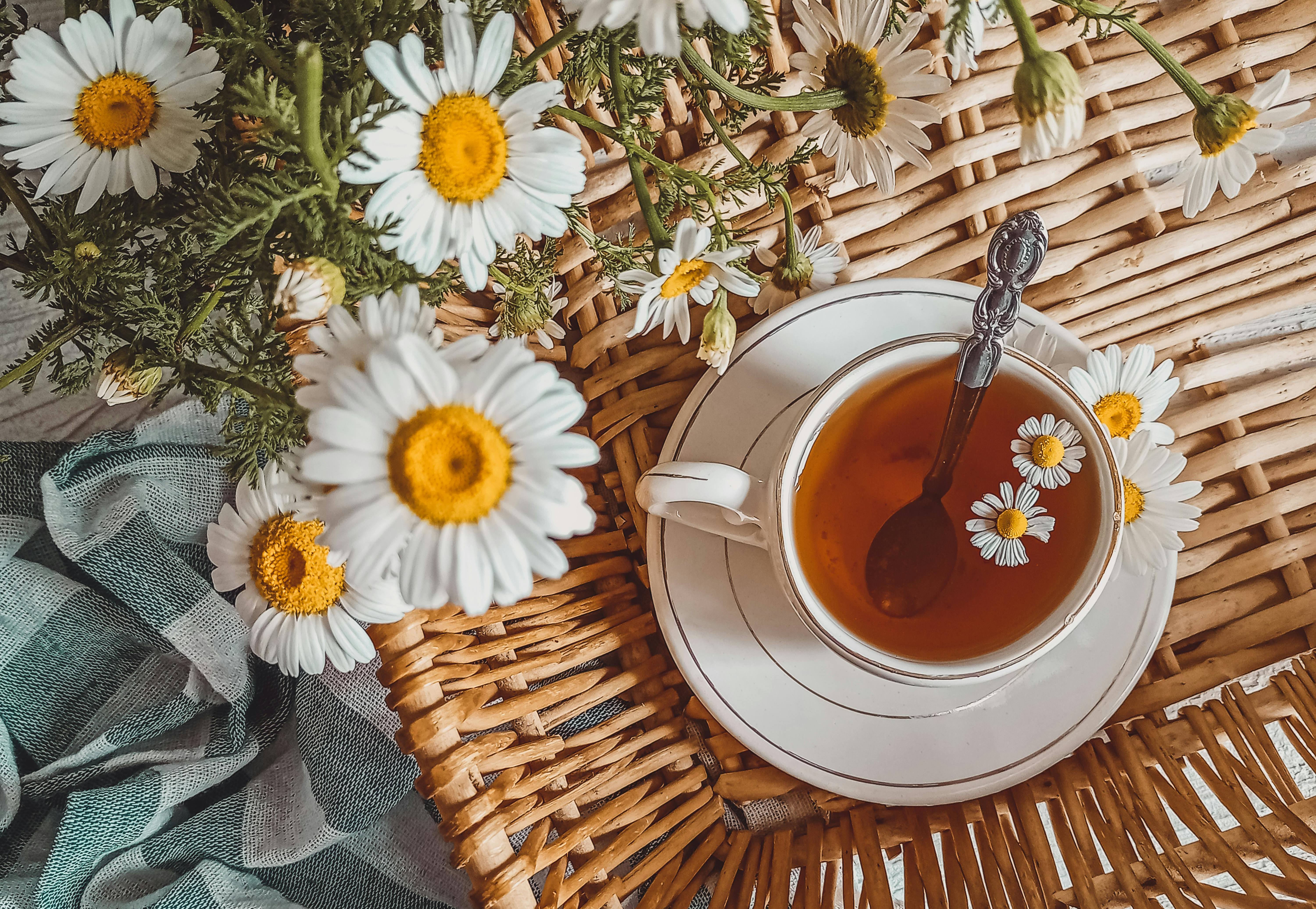 Диетологи назвали самые полезные для здоровья виды чая