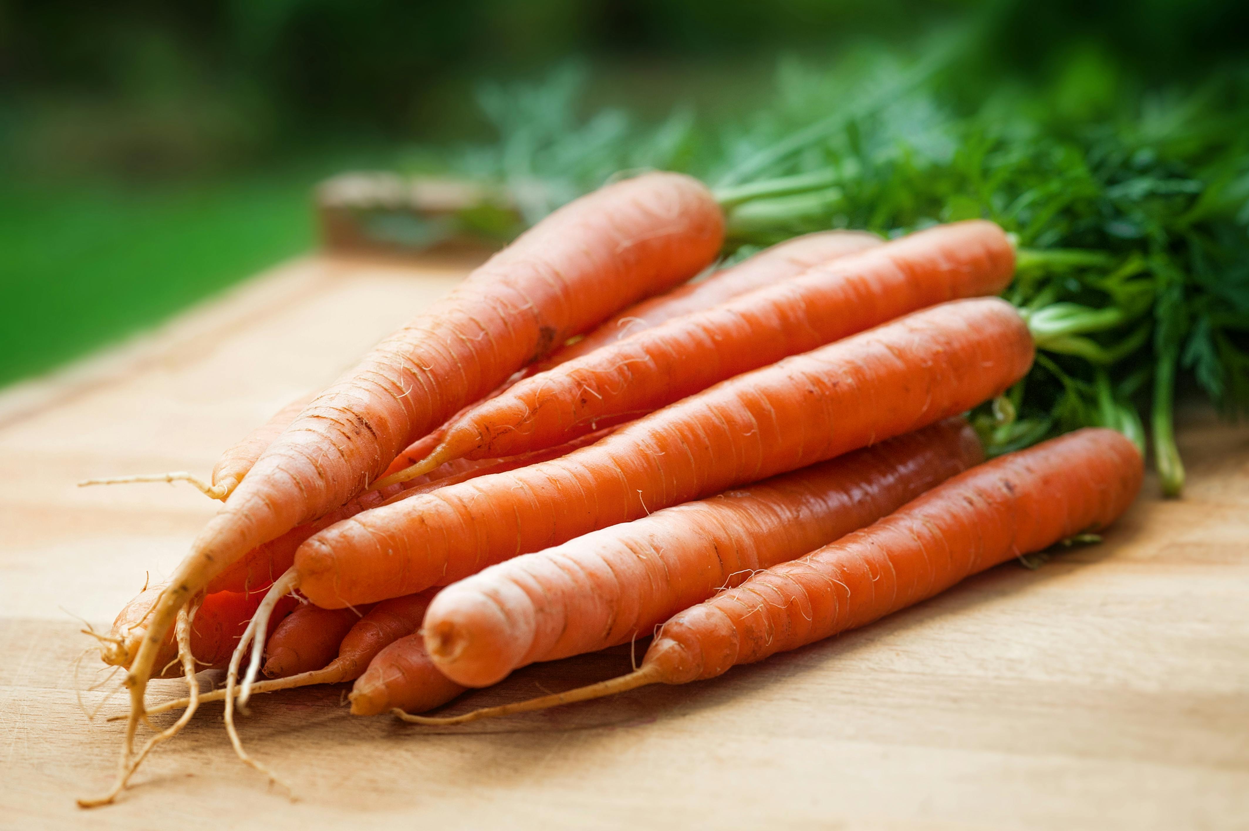 Як виростити велику і пряму моркву: хитрощі та рецепти поживного добрива