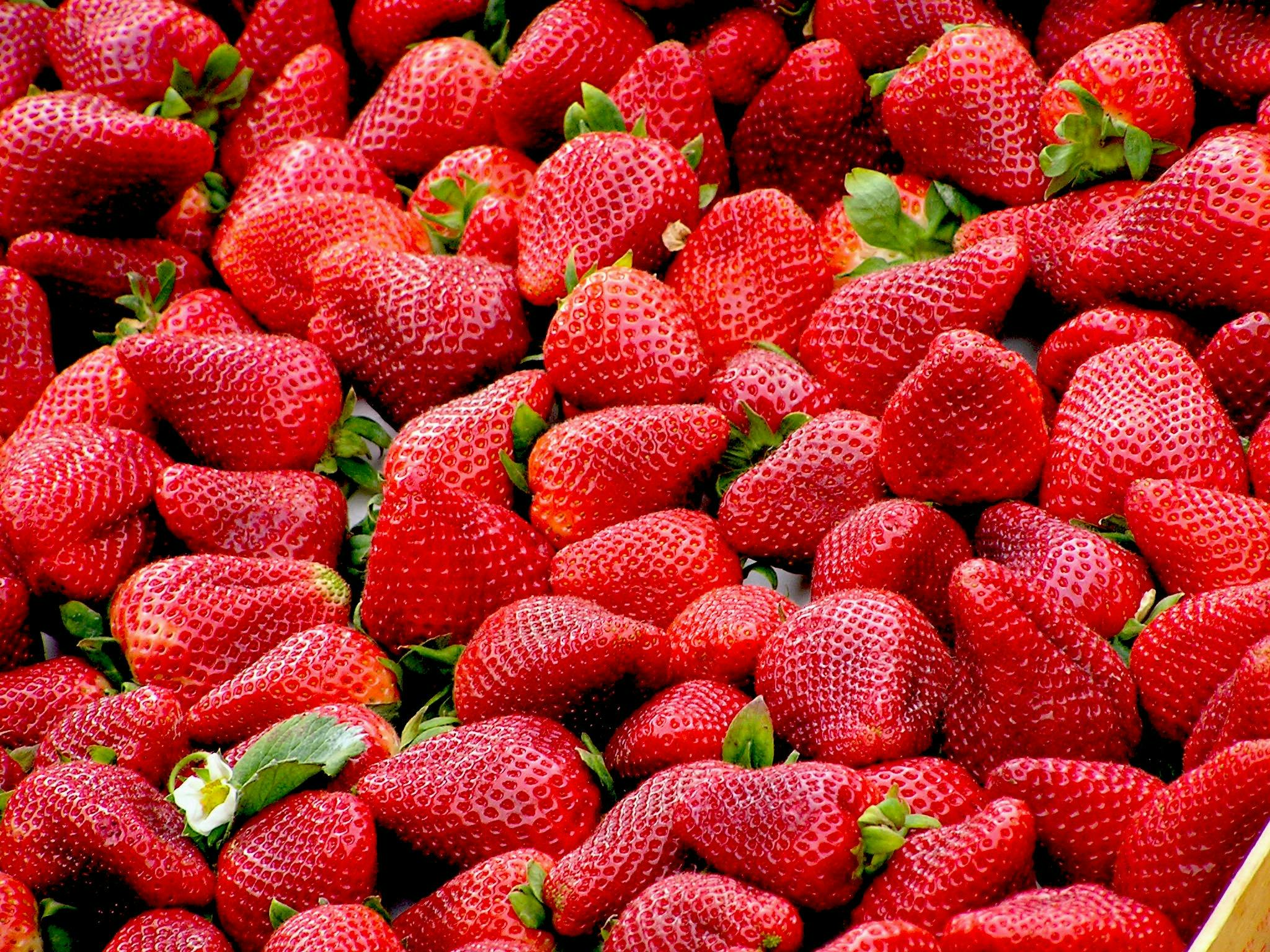 П'ять причин їсти полуницю щодня: медики розповіли про користь ягоди
