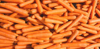 Как вырастить крупную и прямую морковь: хитрости и рецепты питательного удобрения - today.ua