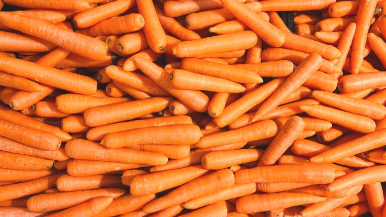 Как вырастить крупную и прямую морковь: хитрости и рецепты питательного удобрения - today.ua