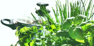 Як виростити зелень, якщо немає городу: лайфхак для любителів петрушки та кропу - today.ua