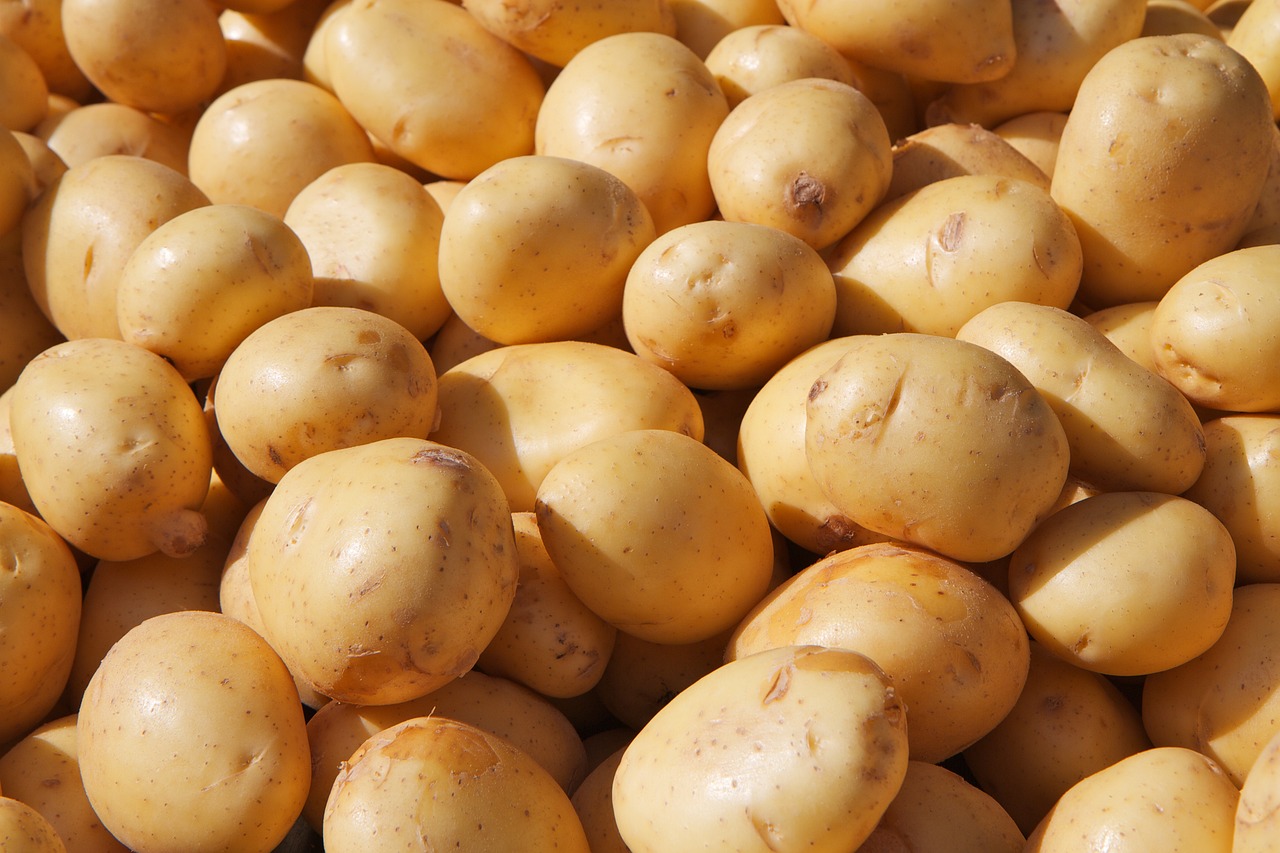 Как выбрать молодой картофель без “химии“: советы Госпотребслужбы