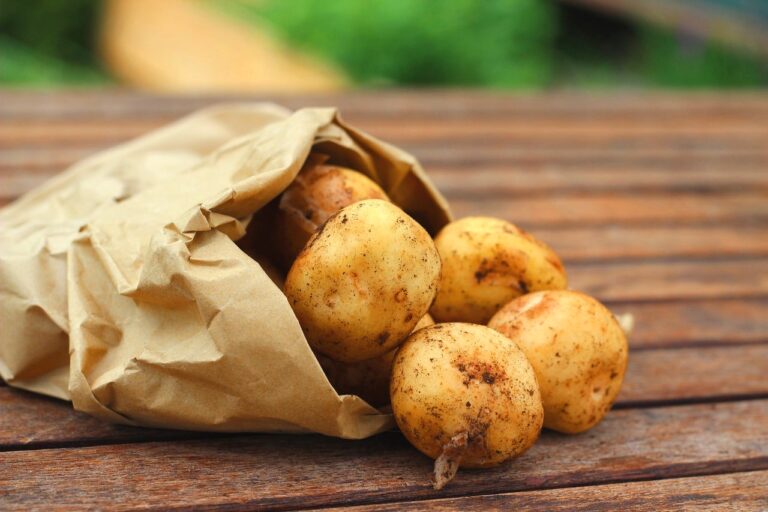 Как выбрать молодой картофель без “химии“: советы Госпотребслужбы - today.ua