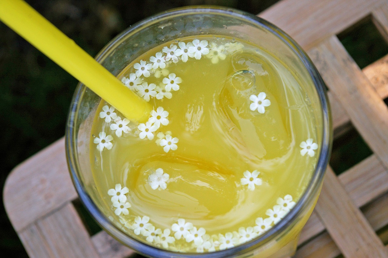 Домашний ликер из цветков бузины: как приготовить вкусный слабоалкогольный напиток  