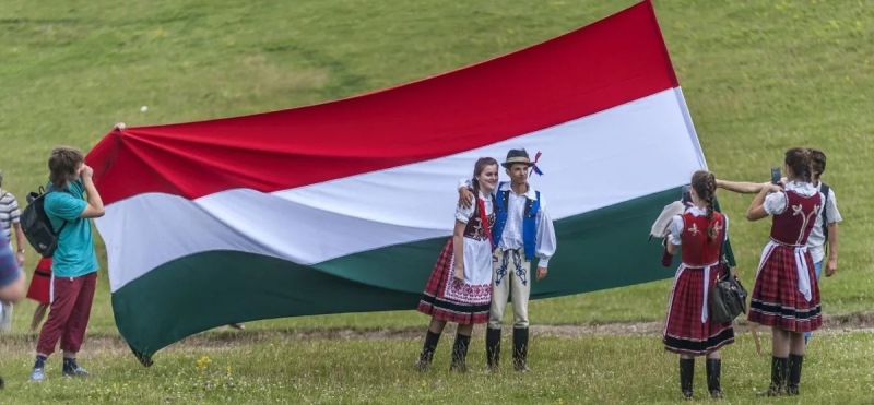 Венгрия потребовала признать все Закарпатье “традиционно венгерским“, - ЕП