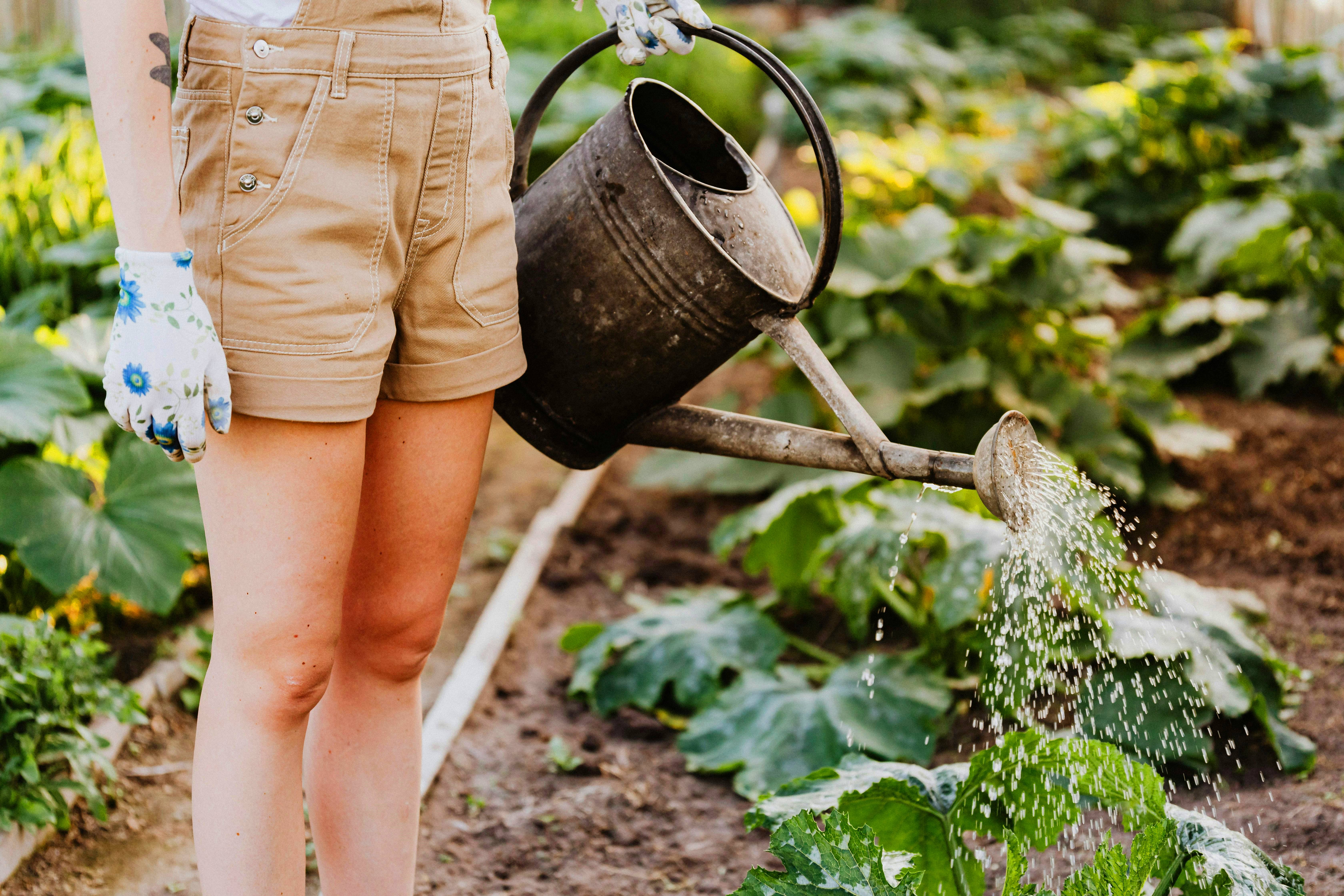 Садівництво допомагає покращити здоров'я: лікарка назвала переваги робіт у саду та на городі