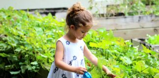 Садівництво допомагає покращити здоров'я: лікарка назвала переваги робіт у саду та на городі - today.ua