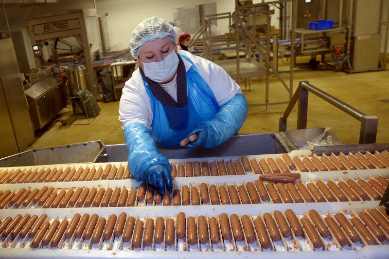 В Нидерландах возник дефицит кадров: на какую работу могут устроиться украинские беженцы