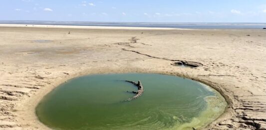 Зафіксовано значні зміни на місці Каховського водосховища: “Утворилося унікальне явище“ - today.ua