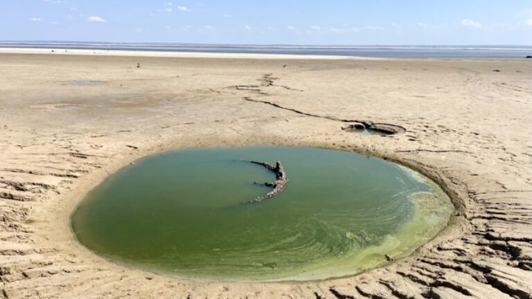 Зафіксовано значні зміни на місці Каховського водосховища: “Утворилося унікальне явище“ - today.ua