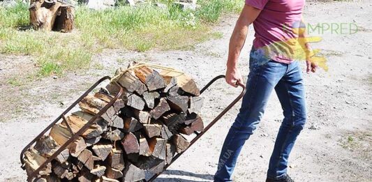 “Звідкіль дровенята“: українцям дозволять самим заготовляти дрова на зиму - today.ua