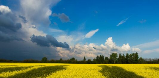 Погода в Україні на вихідні: синоптикиня розповіла, коли чекати на послаблення спеки - today.ua