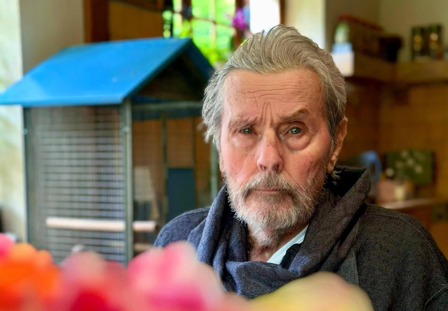 Семья Алена Делона отказалась выполнить последнее желание актера о похоронах