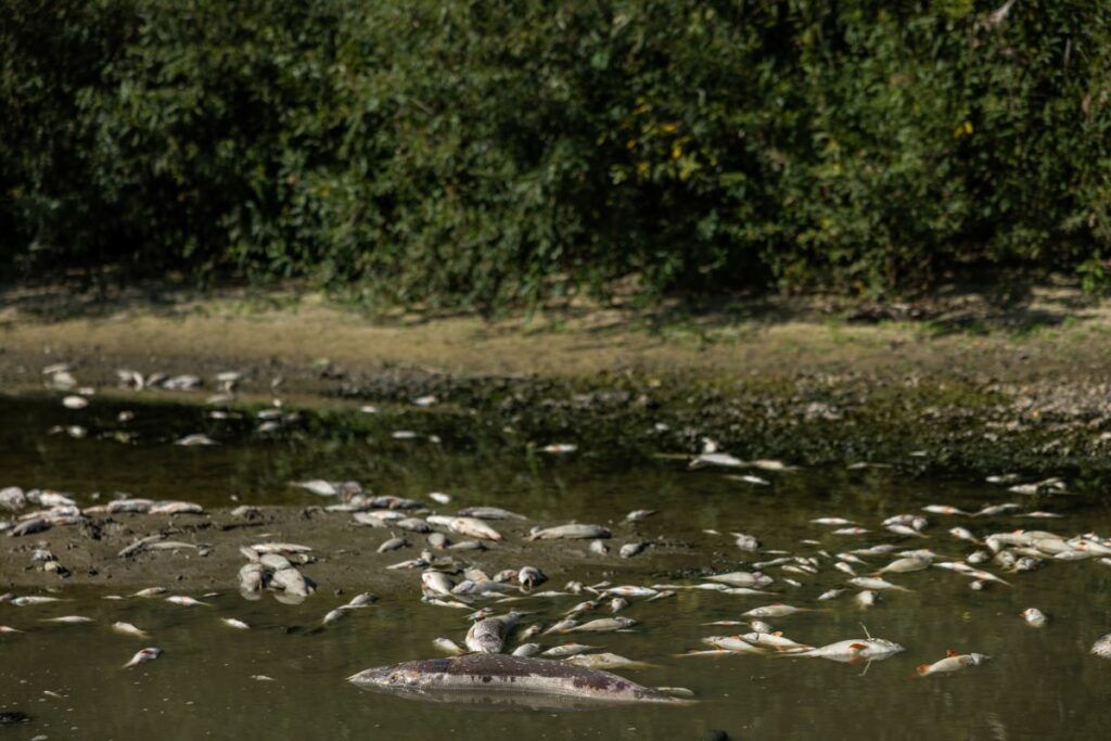 Через три дні Київ може залишитися без питної води